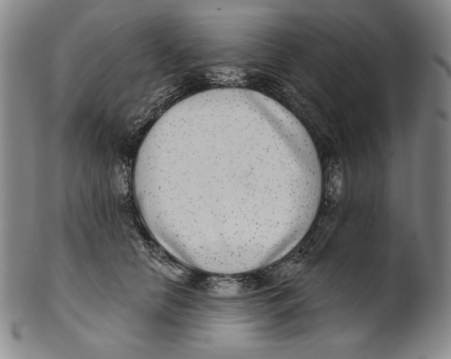 X0000101970658200808081552