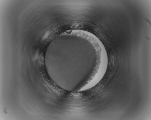X0000101970659200808081552