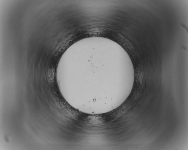 X0000101970660200808081552