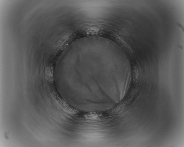 X0000101970661200808081552