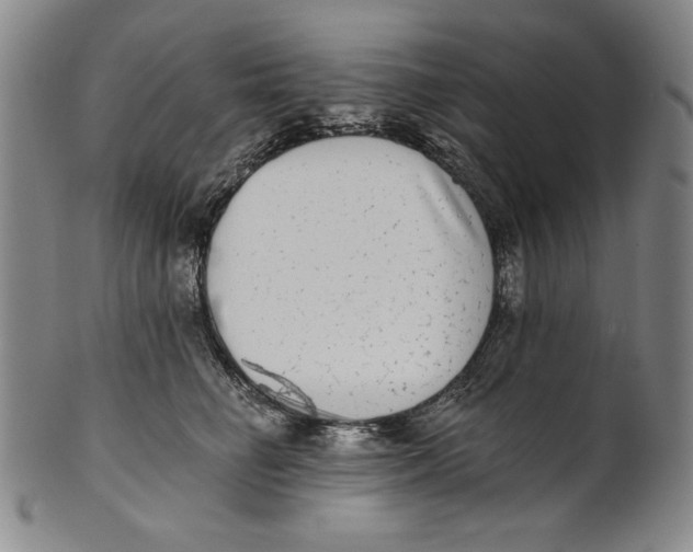X0000101970662200808081552