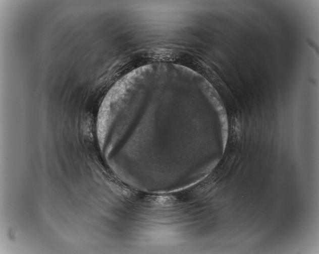 X0000101970663200808081552