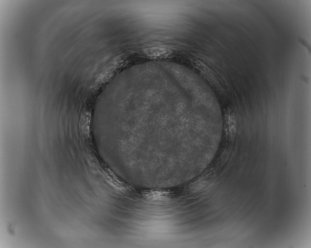 X0000101970664200808081552