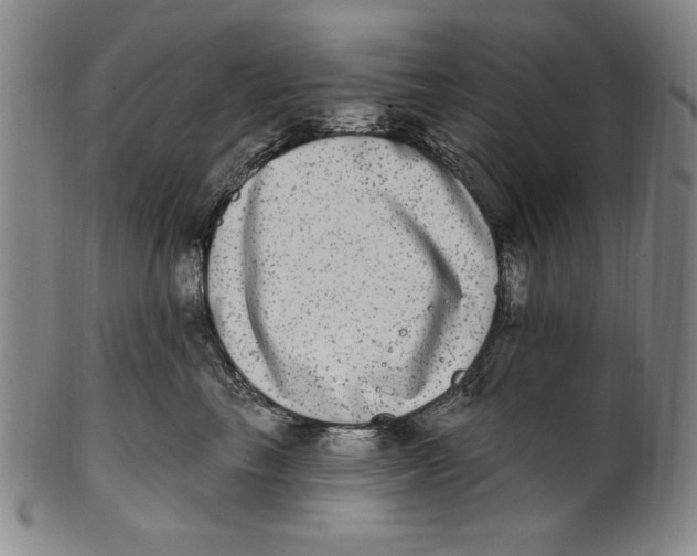 X0000101970665200808081552