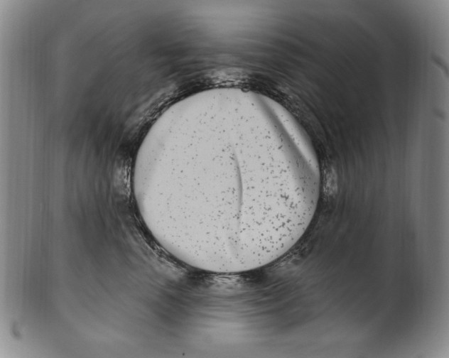 X0000101970666200808081552
