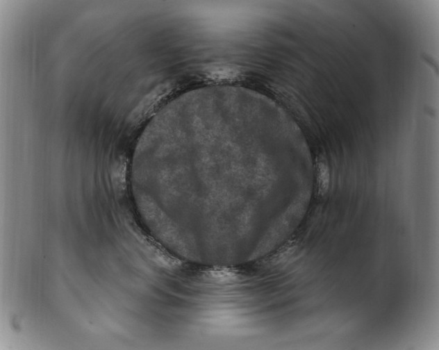 X0000101970668200808081552