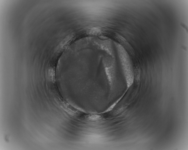 X0000101970669200808081552