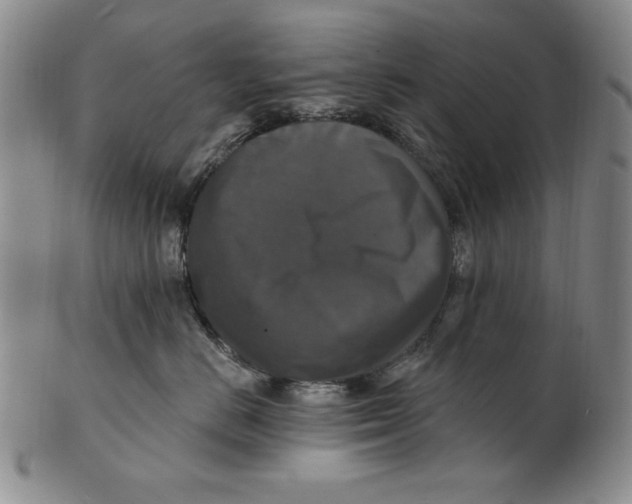 X0000101970670200808081552