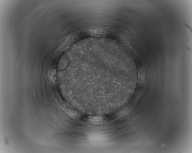 X0000101970671200808081552