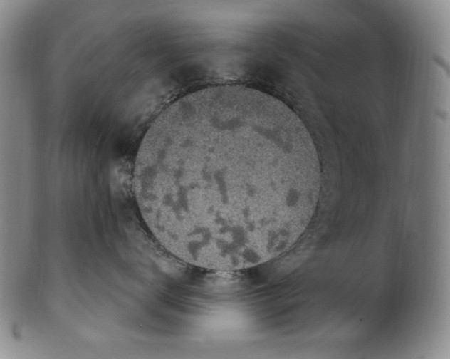 X0000101970672200808081552