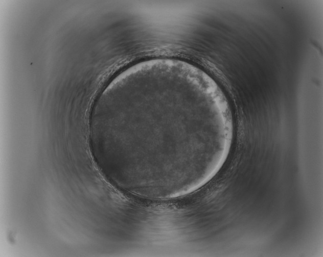 X0000101970673200808081552