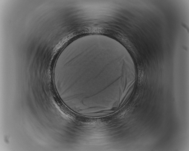 X0000101970674200808081552