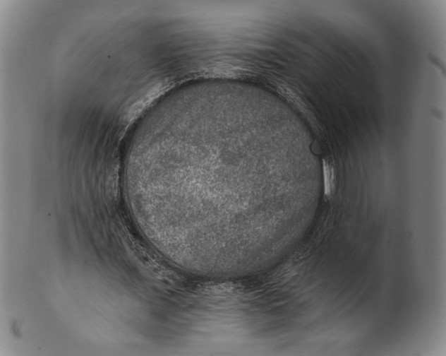X0000101970675200808081552