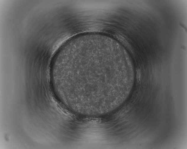 X0000101970676200808081552