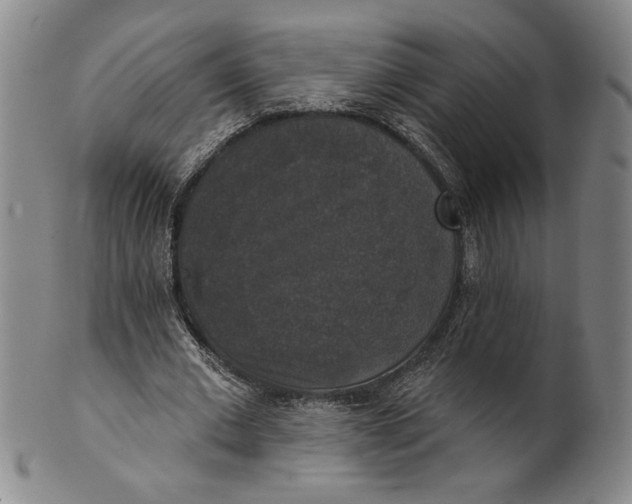 X0000101970677200808081551