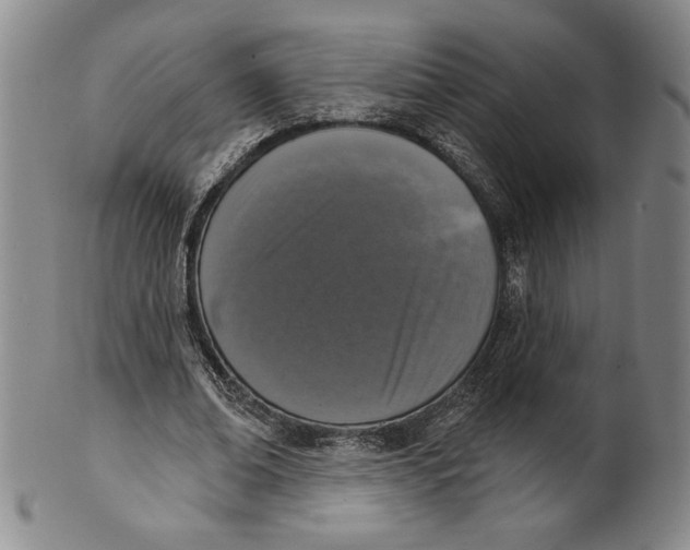 X0000101970678200808081551