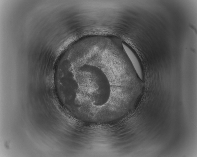 X0000101970679200808081551