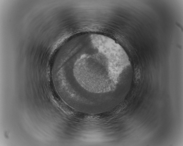 X0000101970680200808081551