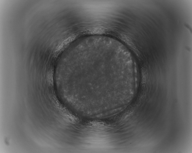 X0000101970681200808081551