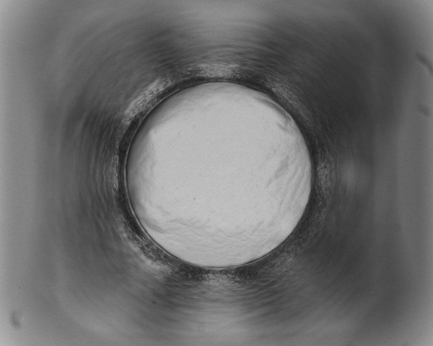 X0000101970682200808081551