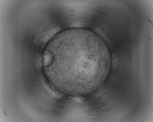 X0000101970683200808081551