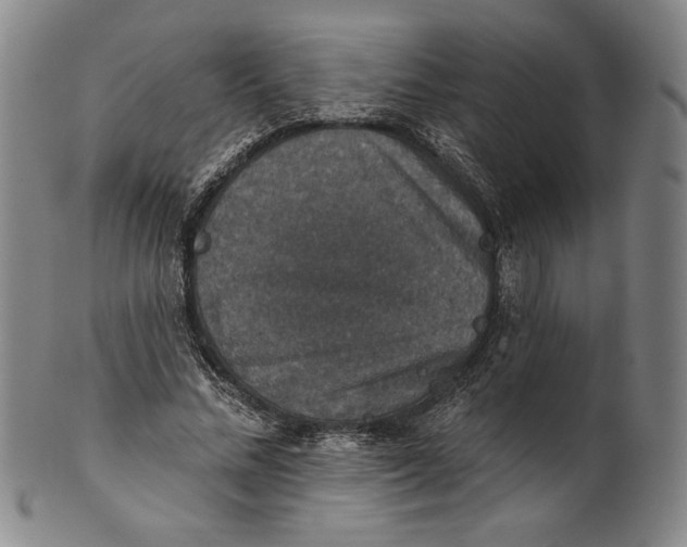 X0000101970684200808081551