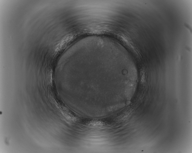 X0000101970685200808081551
