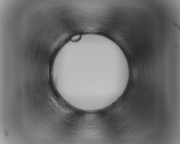 X0000101970686200808081551