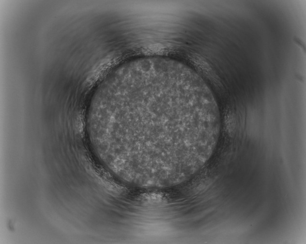 X0000101970687200808081551