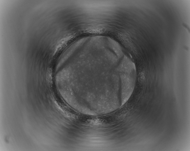 X0000101970688200808081551