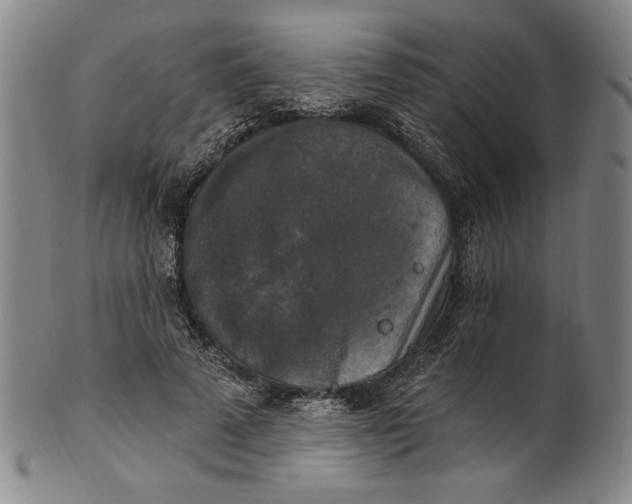 X0000101970689200808081551