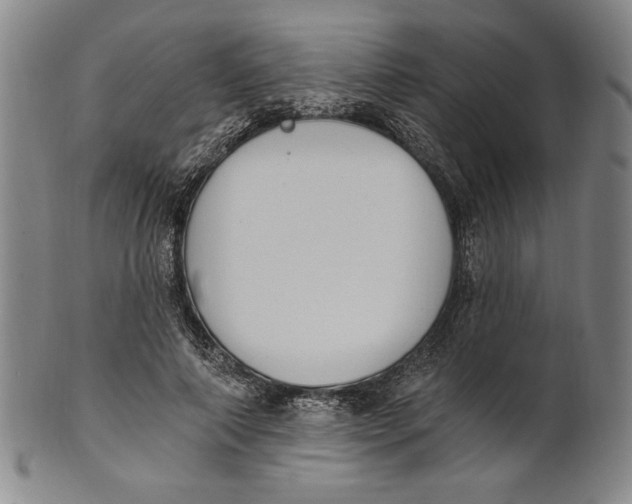 X0000101970690200808081551