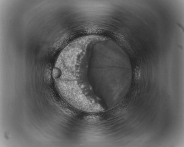 X0000101970691200808081551