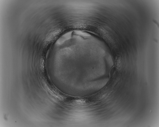 X0000101970692200808081551