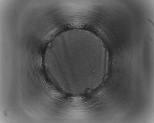 X0000101970693200808081551