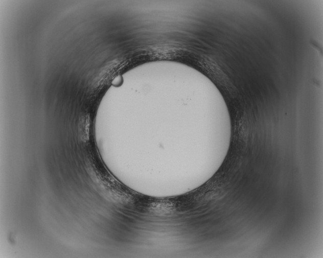 X0000101970694200808081551