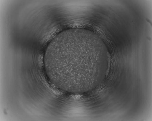 X0000101970695200808081551