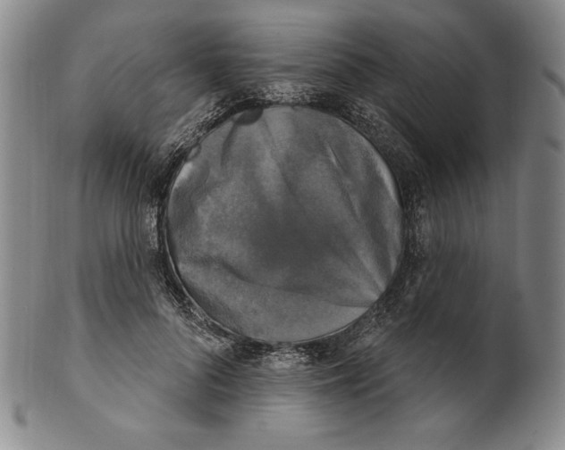 X0000101970696200808081551