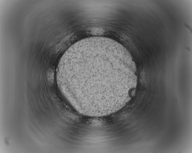 X0000101970697200808081551