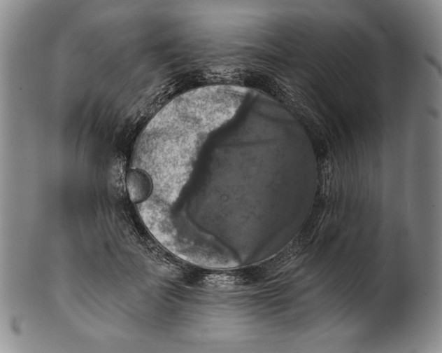 X0000101970699200808081551