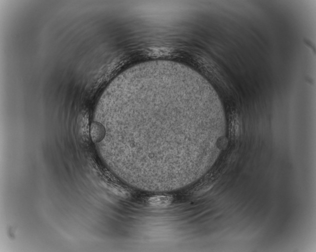 X0000101970700200808081551