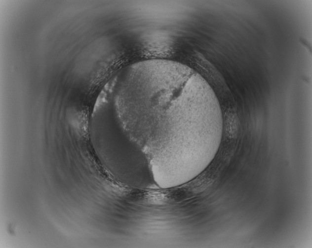 X0000101970701200808081551