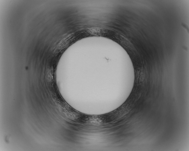 X0000101970702200808081551