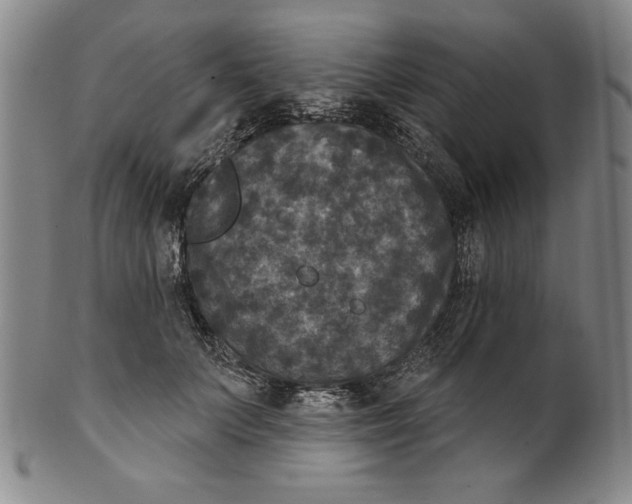 X0000101970703200808081551