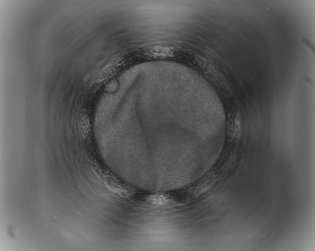 X0000101970704200808081551