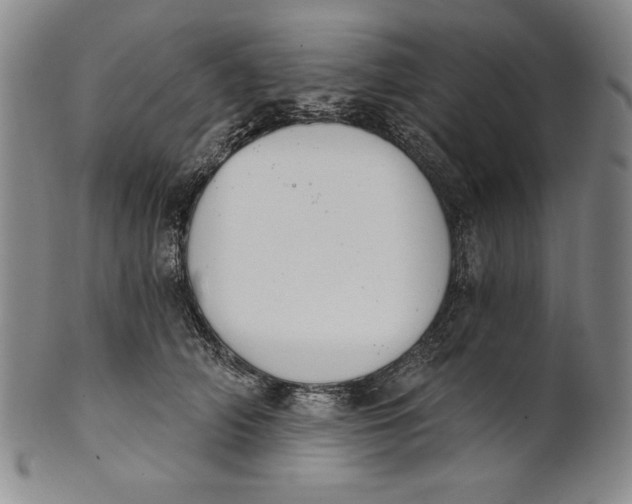 X0000101970706200808081551