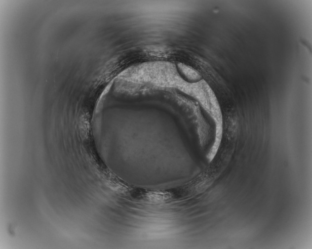 X0000101970707200808081551