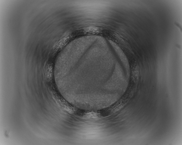 X0000101970708200808081551