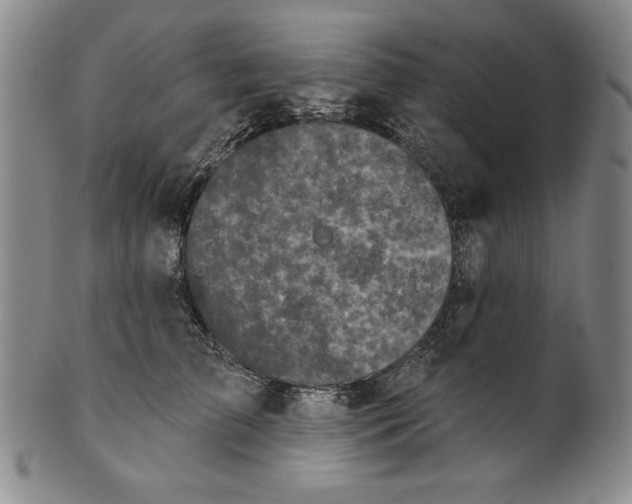 X0000101970709200808081551