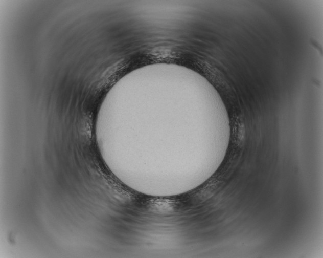 X0000101970710200808081551